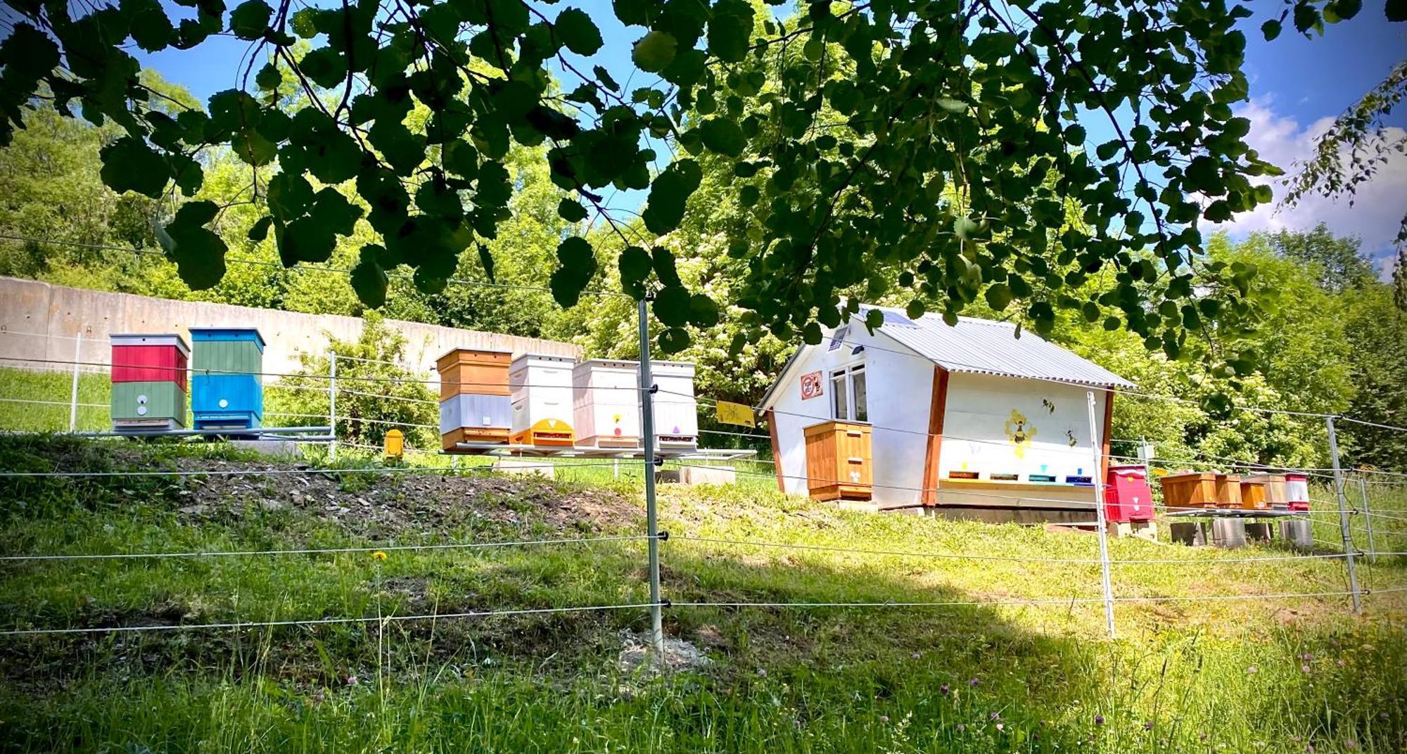 Apartmany Svrcinky Lipótszentmiklós Kültér fotó